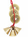Fengshui Vastu Lucky Brass Hanging 3 bell & 3 Coins