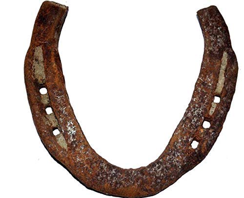 Black Horse Shoe