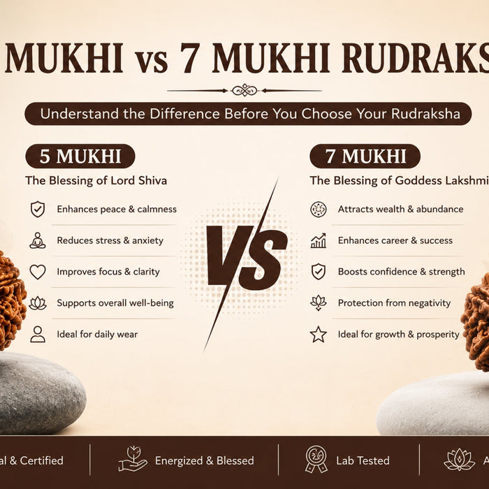 Difference Between 5 Mukhi and 7 Mukhi Rudraksha: Which One Should You Choose?