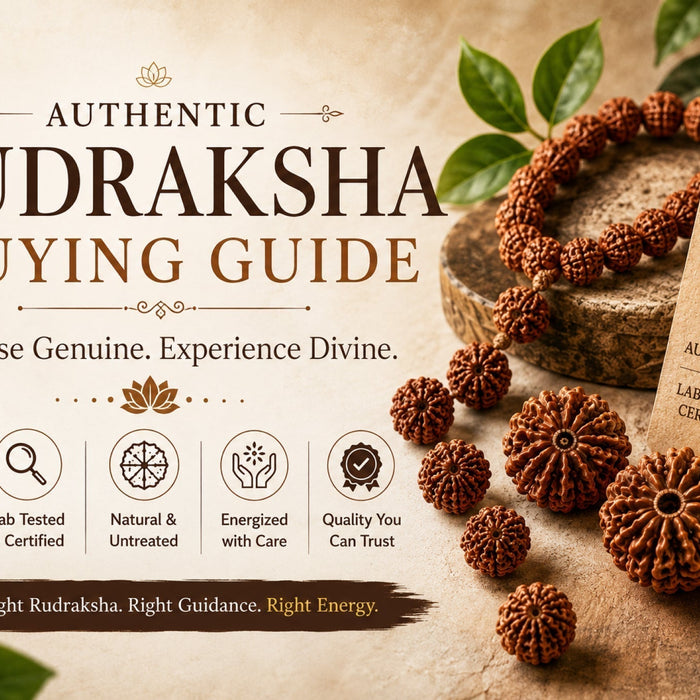 How to Identify an Original Rudraksha Online: A Complete Guide for Devotees