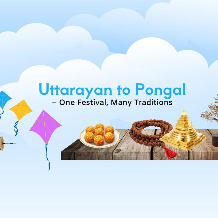 Makar Sankranti: A Festival of Light, Gratitude & New Beginnings Across India