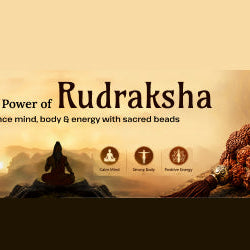 Rudraksha Guide: Meaning, Types (1–14 Mukhi), Benefits, Wearing Rules & Scientific Logic