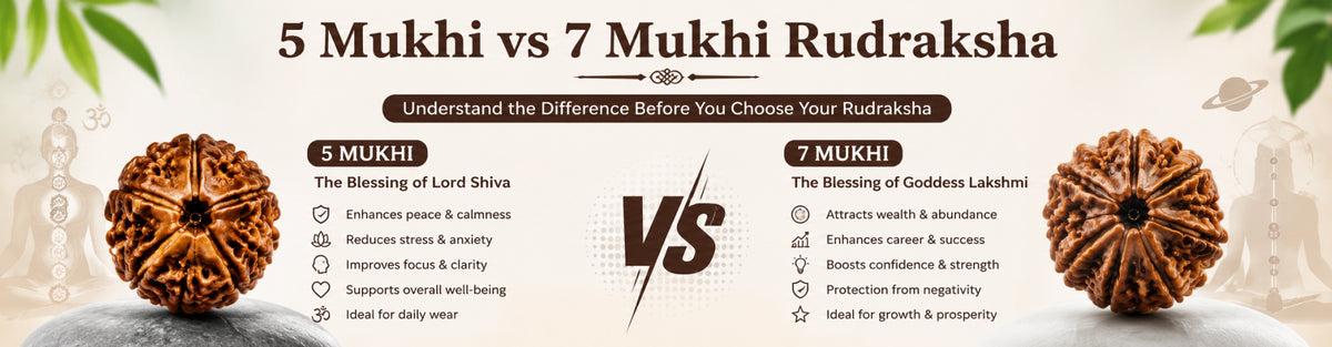 Difference Between 5 Mukhi and 7 Mukhi Rudraksha: Which One Should You Choose?
