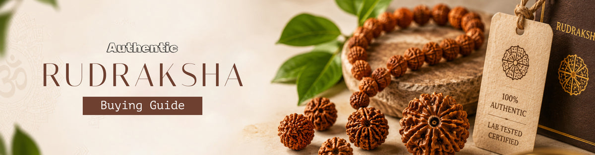 How to Identify an Original Rudraksha Online: A Complete Guide for Devotees