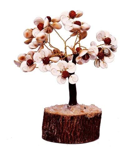 Natural & Original Gomti Chakra  Gomati Chakra Tree for Good Luck