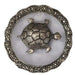 Golden Glass Plate Feng Shui Metal Tortoise