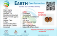Gauri Shankar Rudraksh certificate
